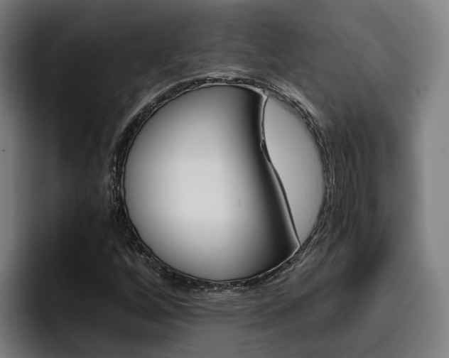 X0000093491256200710121006