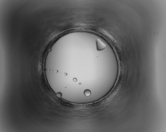 X0000093491259200710121006