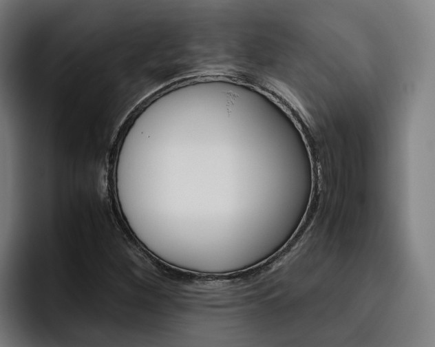 X0000093491260200710121006