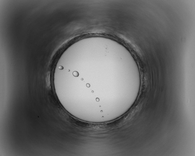 X0000093491262200710121006