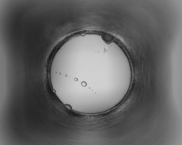 X0000093491263200710121006