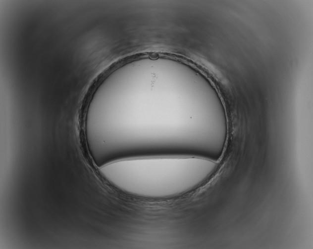 X0000093491264200710121006