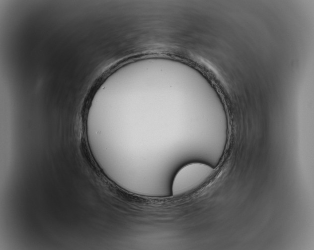 X0000093491267200710121006