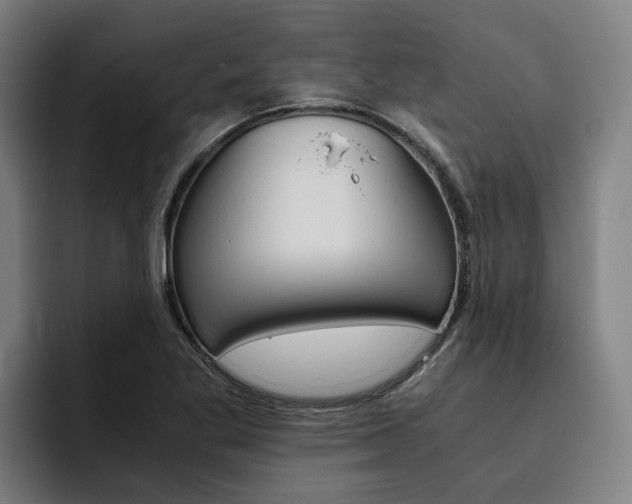 X0000093491269200710121006