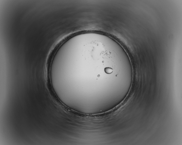 X0000093491270200710121006