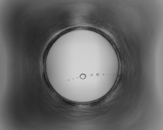 X0000093491271200710121006