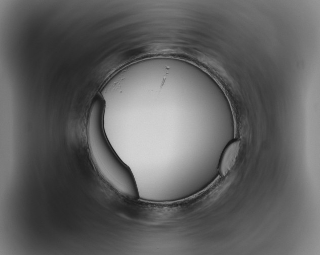 X0000093491273200710121006