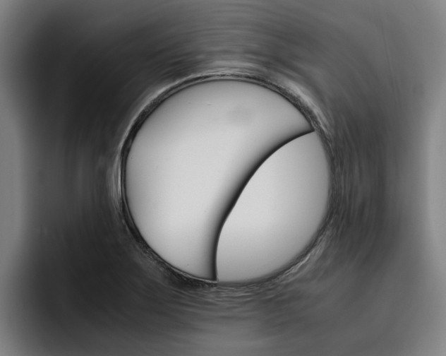 X0000093491275200710121006