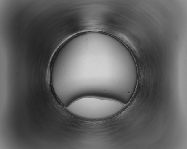 X0000093491276200710121006