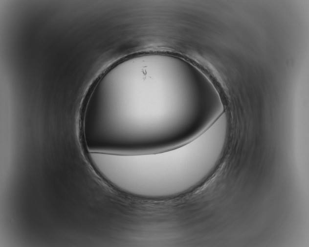 X0000093491277200710121006