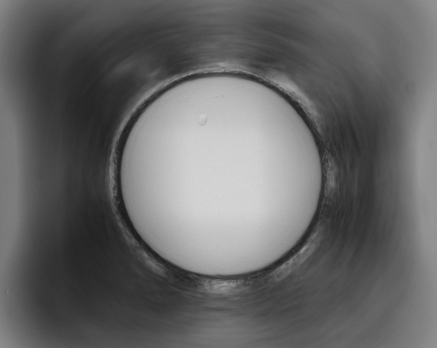 X0000093491278200710121006
