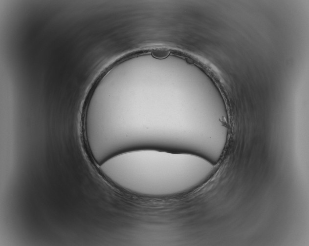 X0000093491279200710121006