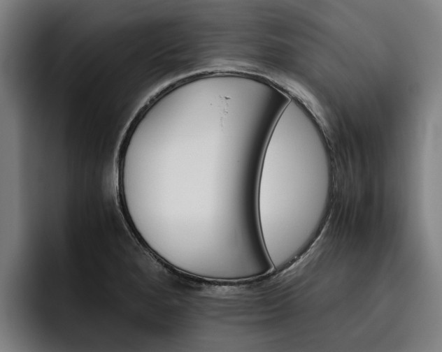 X0000093491280200710121006