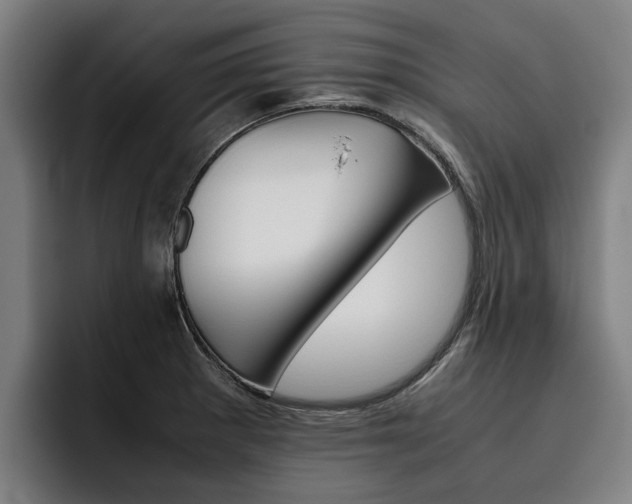 X0000093491281200710121006