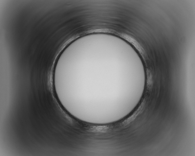X0000093491282200710121006