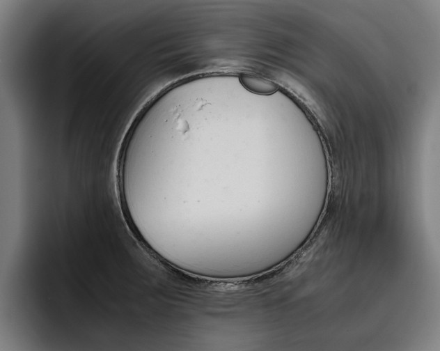 X0000093491283200710121006