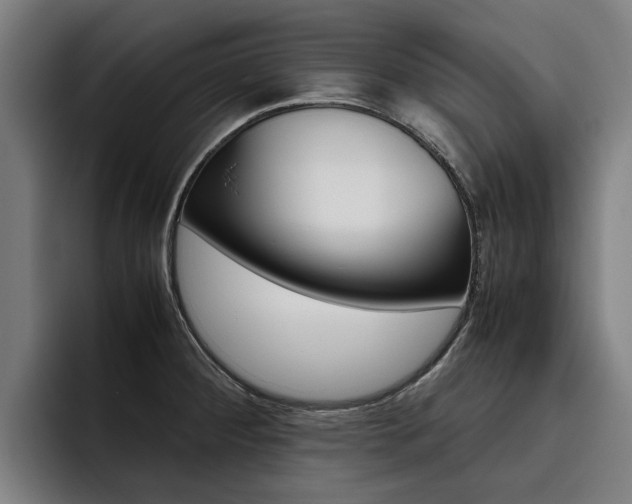 X0000093491284200710121006