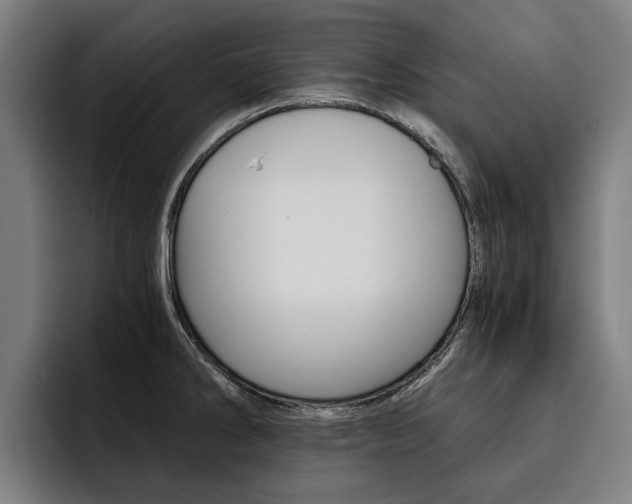 X0000093491286200710121006