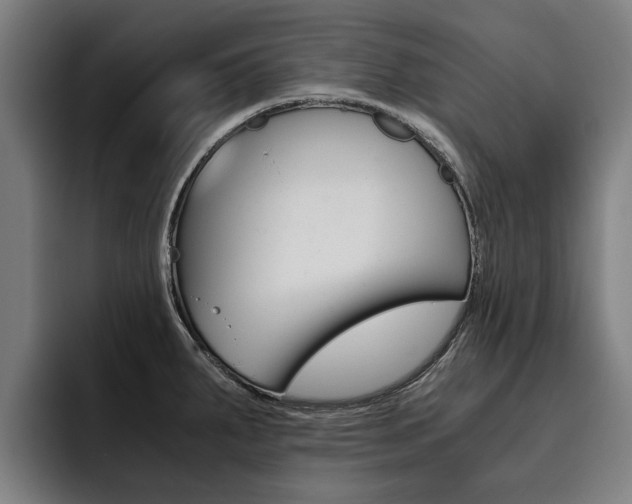 X0000093491287200710121006