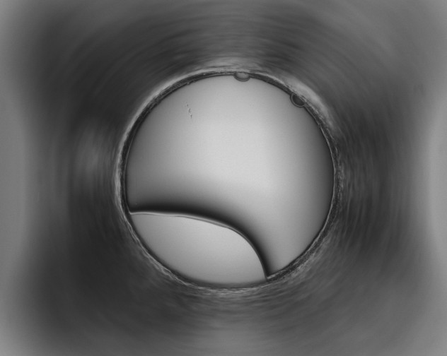 X0000093491288200710121006