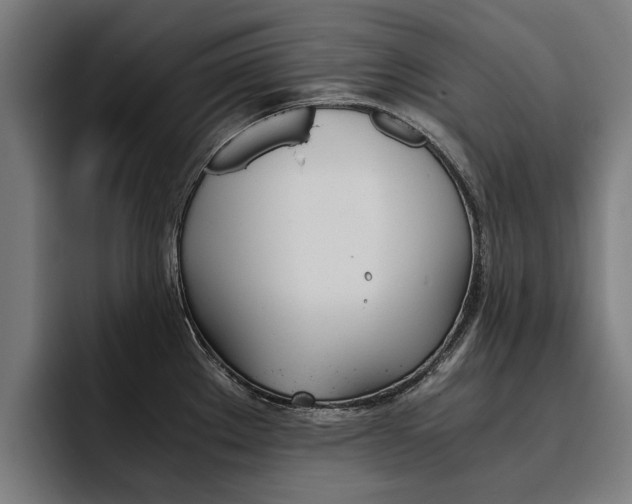 X0000093491289200710121006