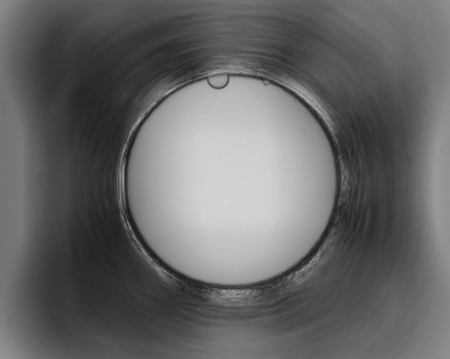X0000093491290200710121006