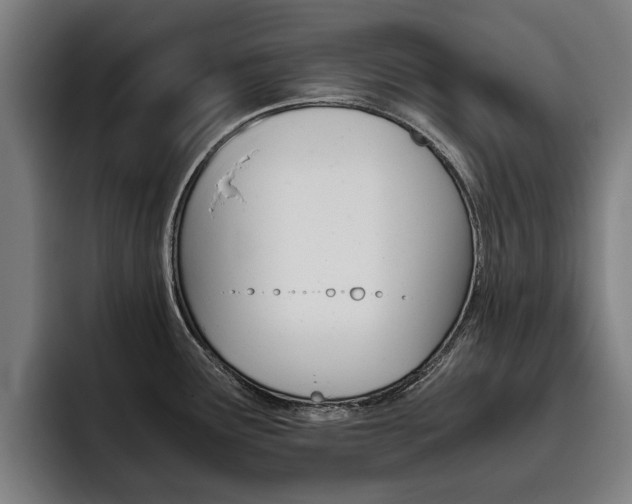 X0000093491291200710121006