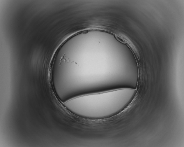 X0000093491292200710121006