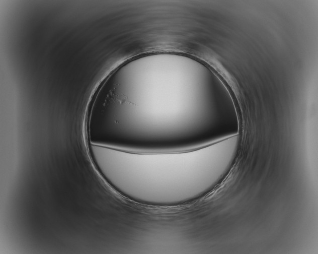 X0000093491293200710121006