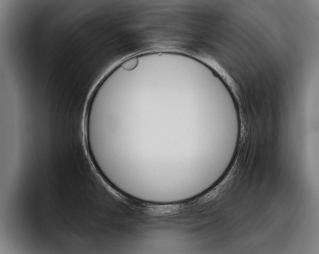 X0000093491294200710121006