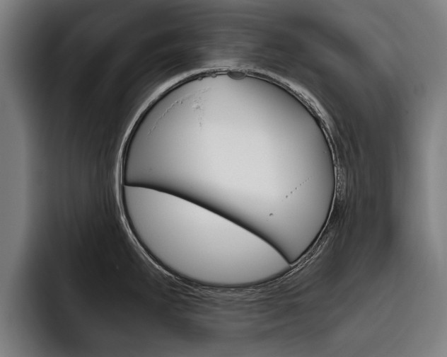 X0000093491295200710121006