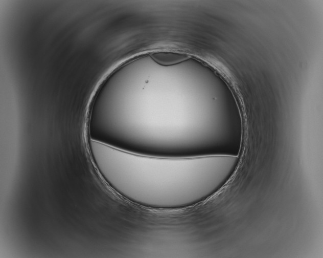 X0000093491296200710121006