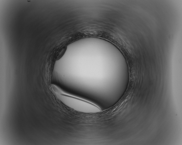 X0000093491297200710121005