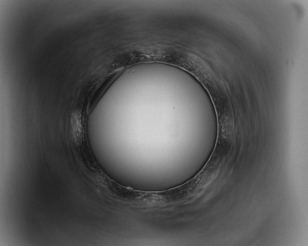 X0000093491298200710121005