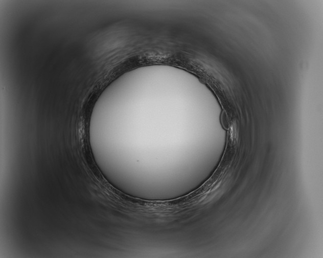 X0000093491299200710121005