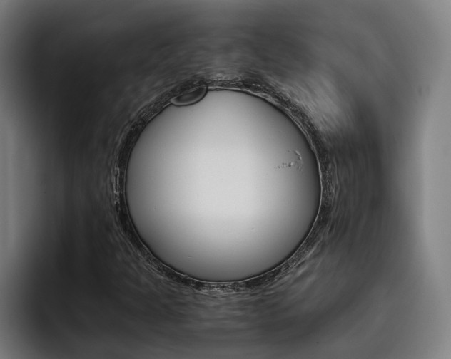 X0000093491301200710121005