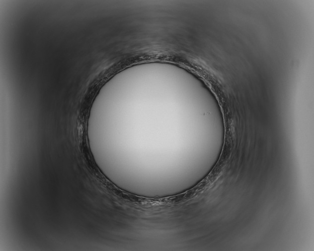 X0000093491302200710121005