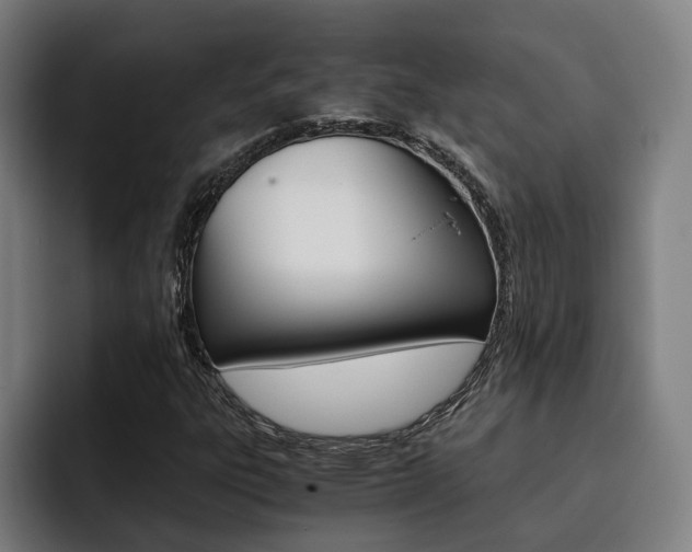 X0000093491303200710121005