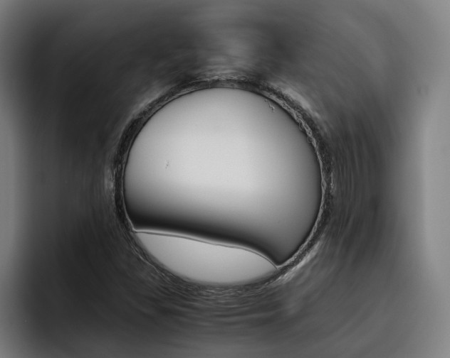 X0000093491309200710121005