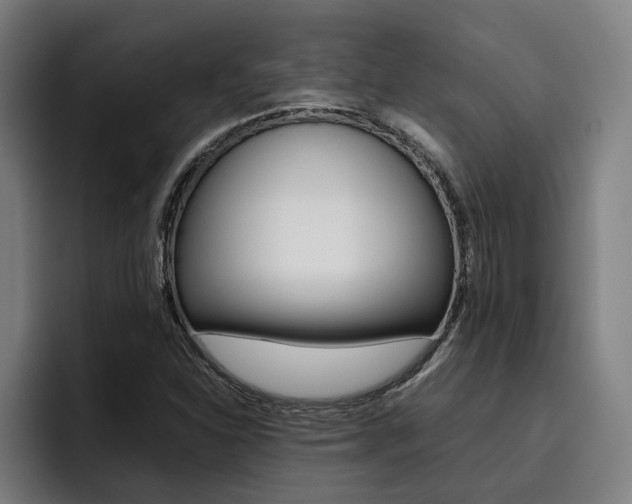 X0000093491310200710121005