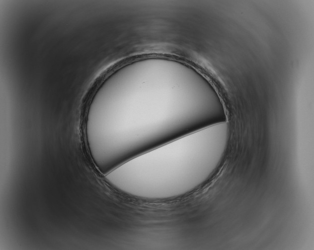 X0000093491312200710121005