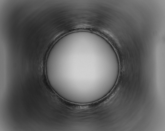 X0000093491313200710121005