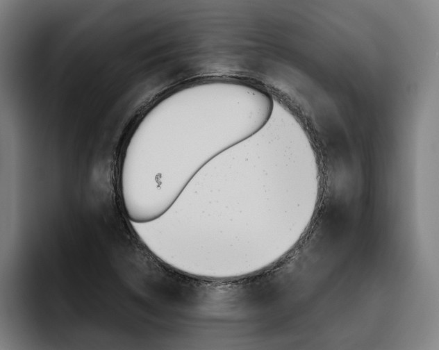 X0000093491314200710121005