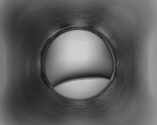 X0000093491315200710121005