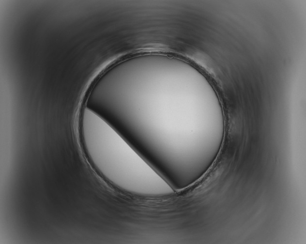 X0000093491325200710121005