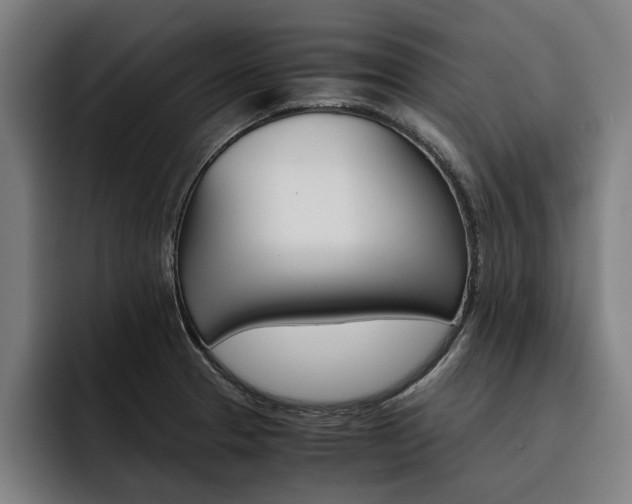 X0000093491329200710121005