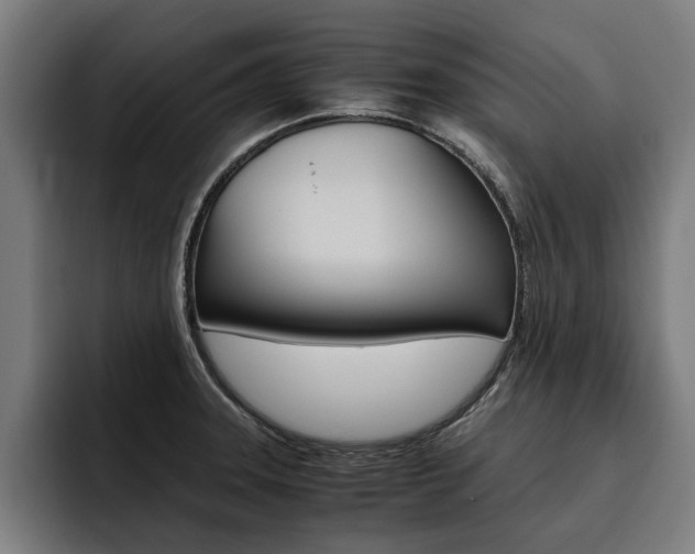 X0000093491331200710121005
