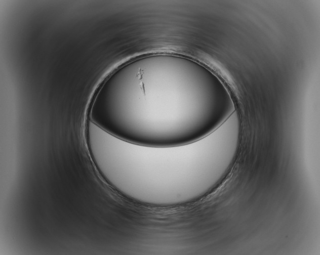 X0000093491332200710121005