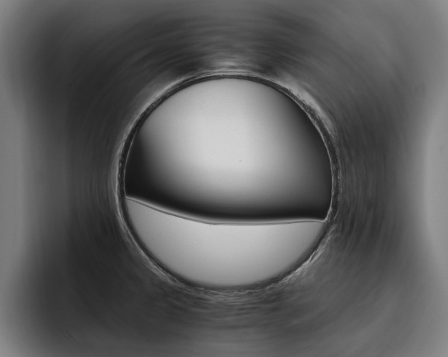 X0000093491333200710121005