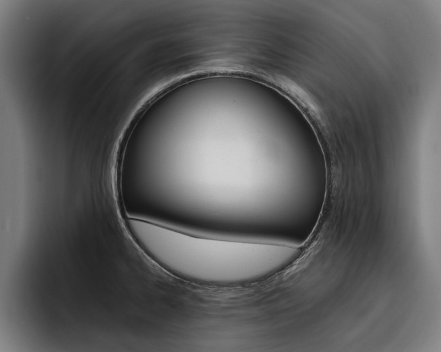 X0000093491334200710121005